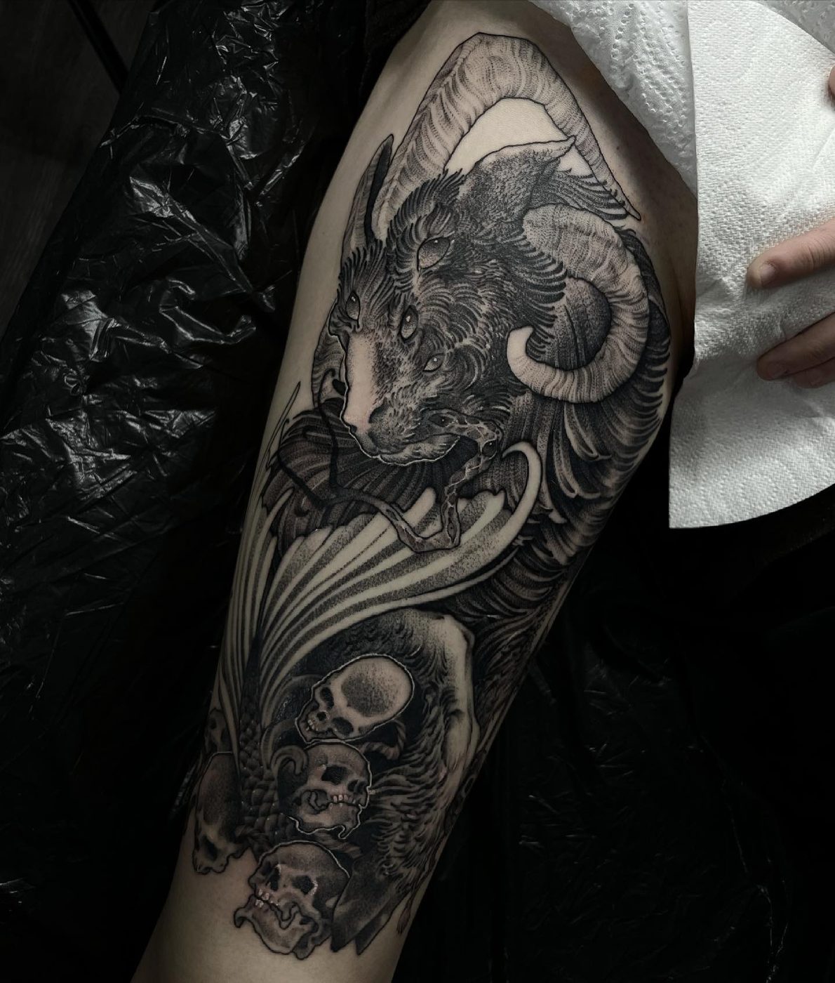 Capricorn